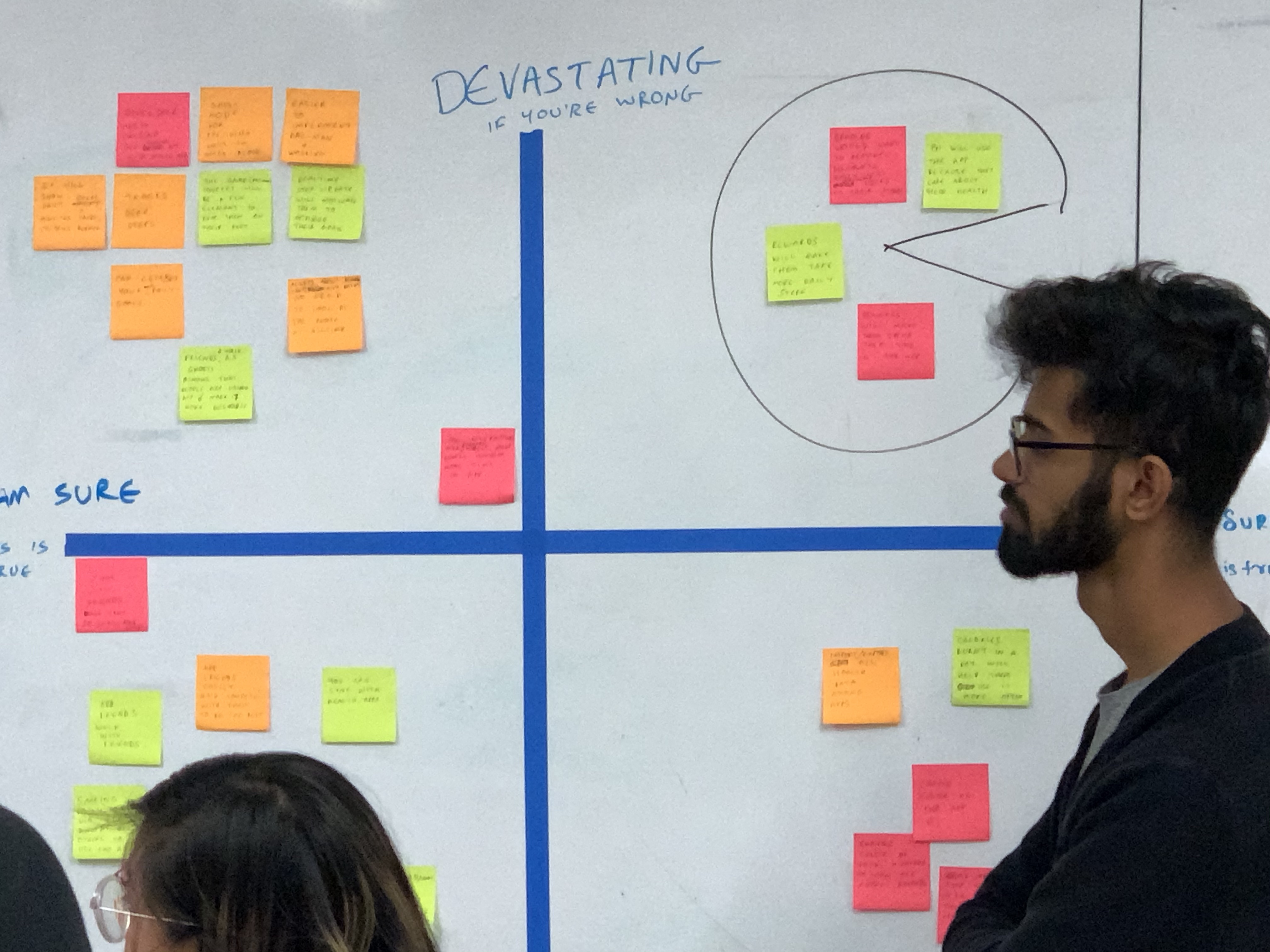 risky assumption matrix
