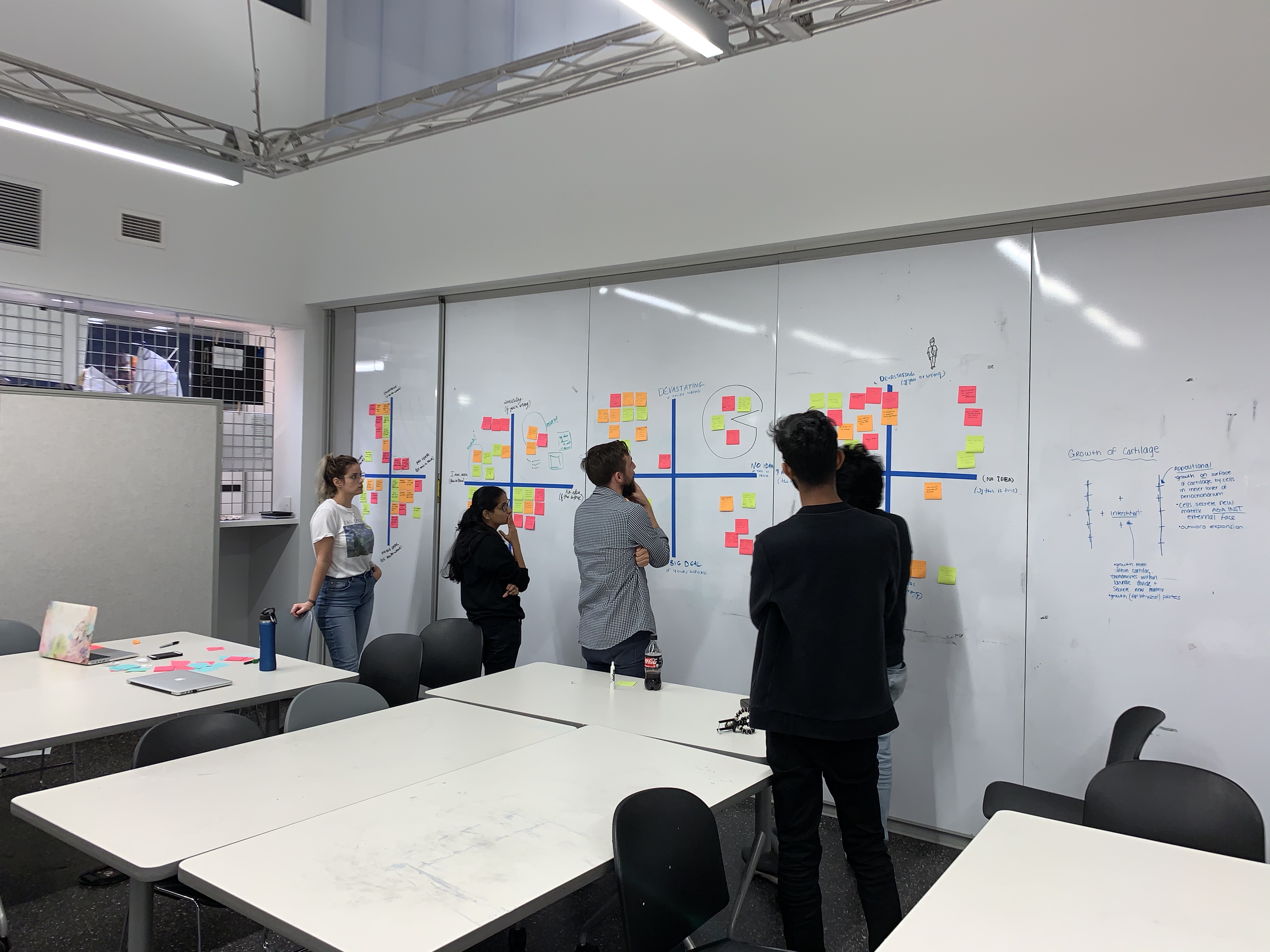 risky assumption matrix